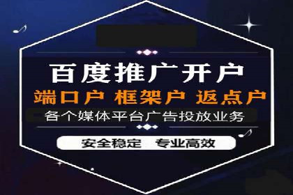 百度品牌专区推广的成效与案例